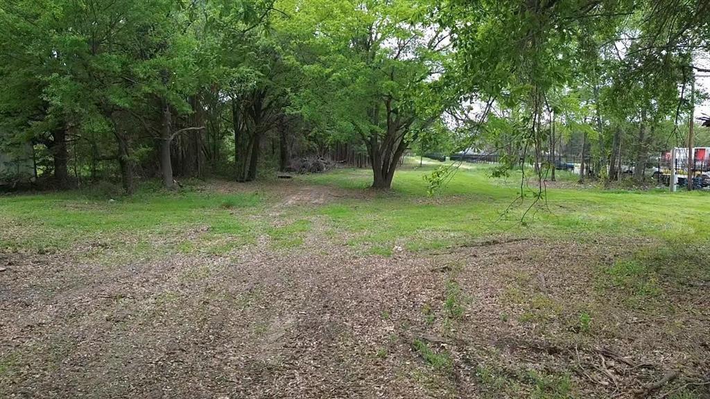Expansive cleared lot featuring mature trees and established perimeter vegetation