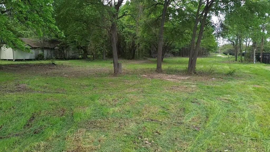 Expansive lot featuring mature trees, natural grass terrain, and a structural outbuilding