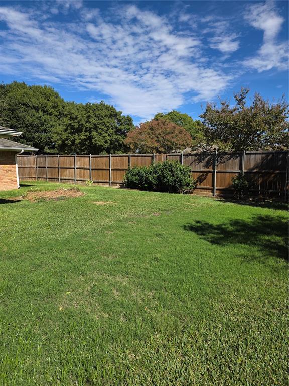 Large back yard