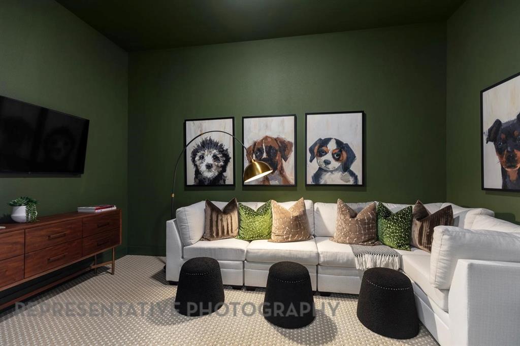 Entertainment Room