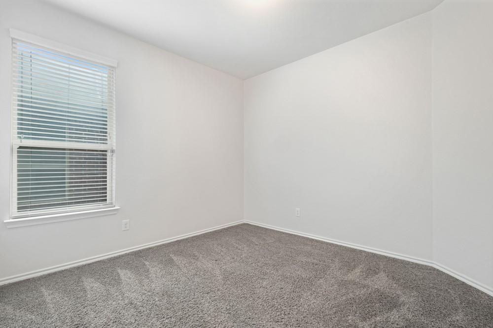 Neutral-toned wall paint, plush carpeting, and horizontal window blinds