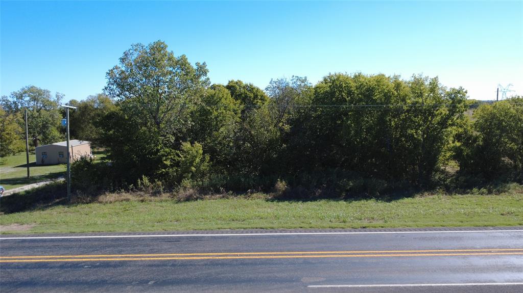 Cleared parcel of land featuring mature trees and established vegetation