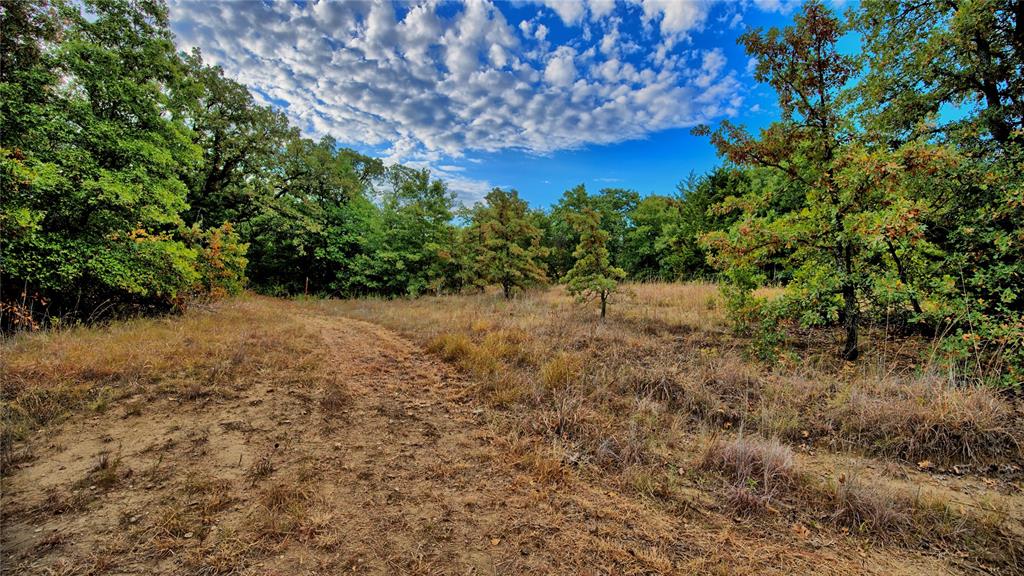TBD Starkey Road, Saint Jo, TX 76265