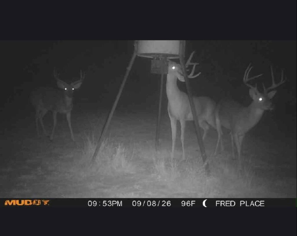 TBD Starkey Road, Saint Jo, TX 76265