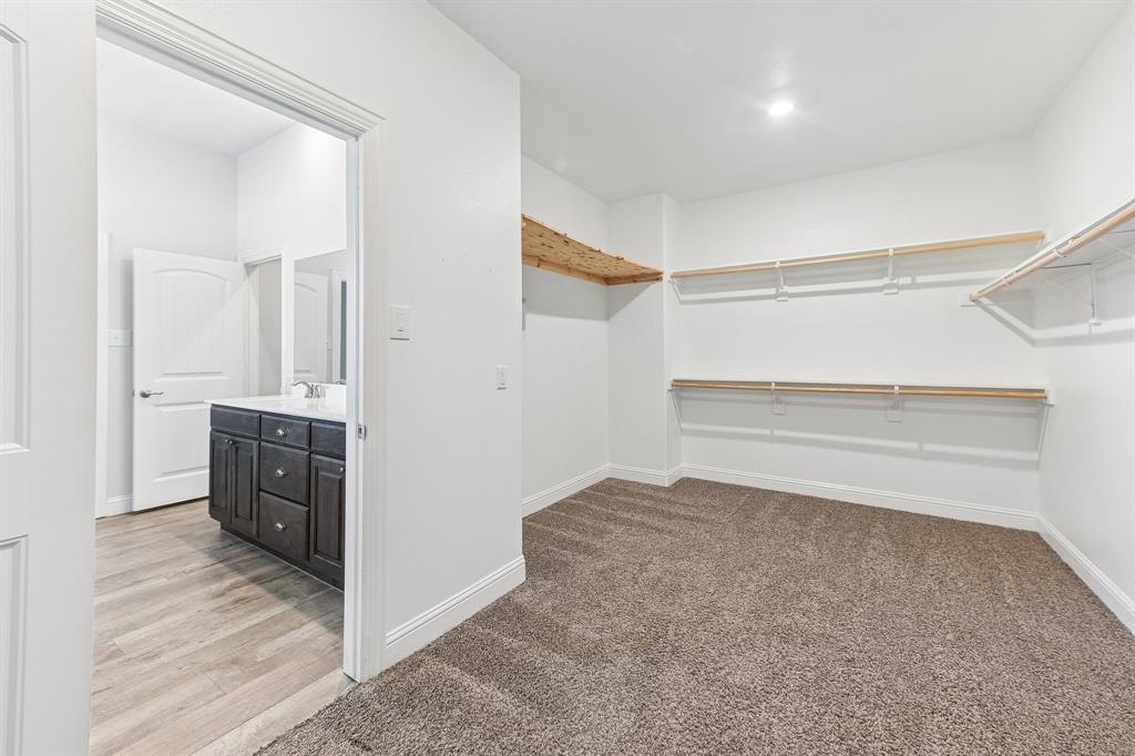 Walk-in closet featuring wall-to-wall carpeting and multi-tier wire shelving