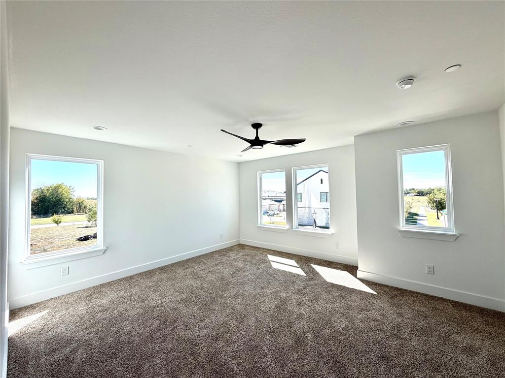 Neutral-toned carpeted flooring, matte black ceiling fan, and multiple windows providing natural light