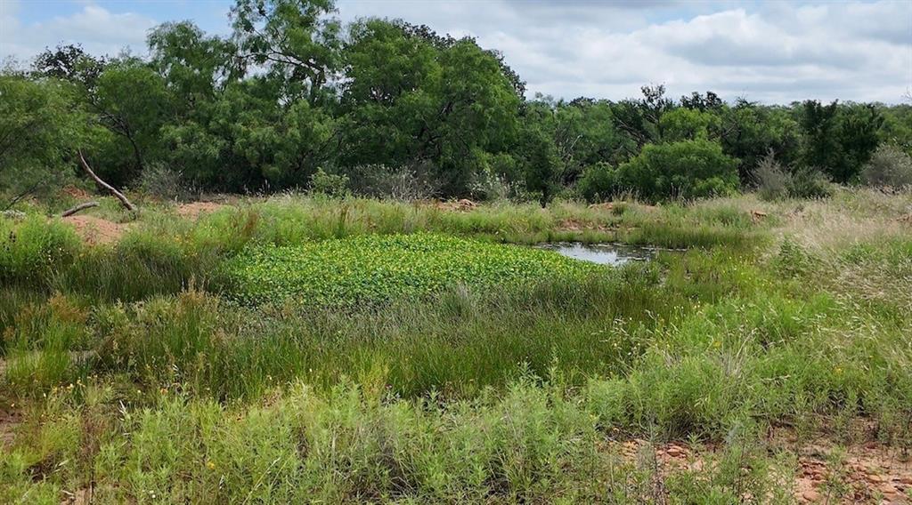 5181 CR 202, San Saba, TX 76877