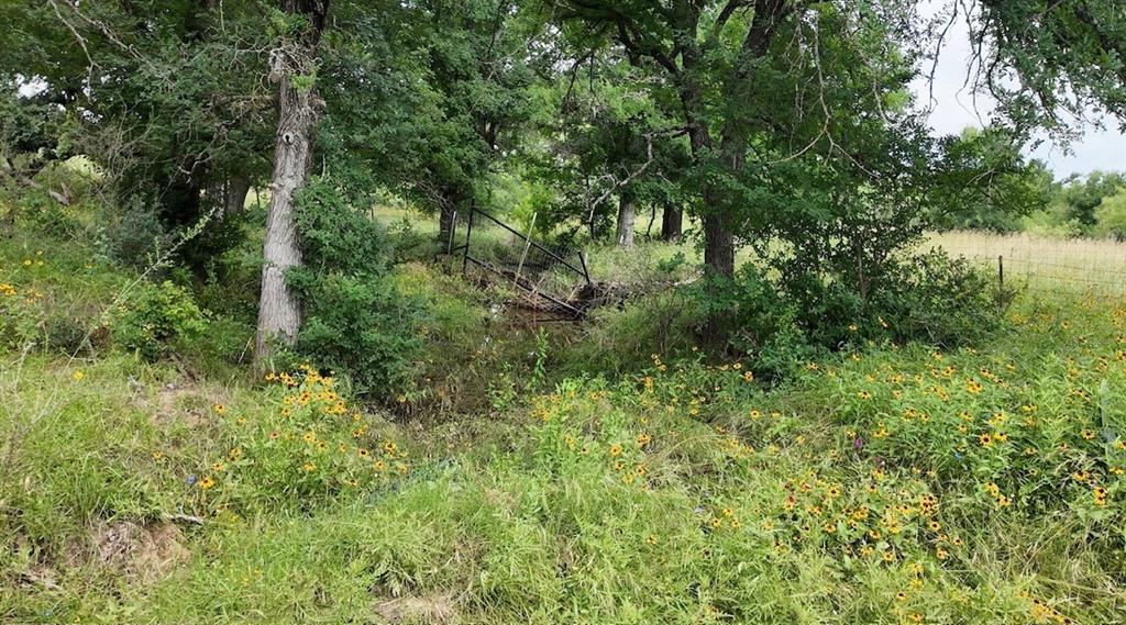 5181 CR 202, San Saba, TX 76877