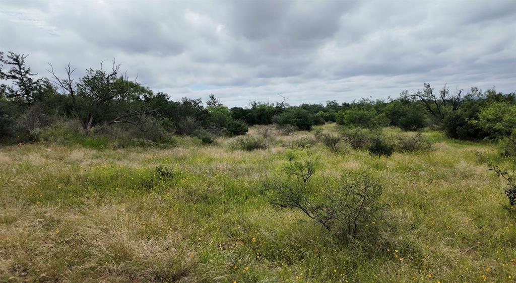 5181 CR 202, San Saba, TX 76877