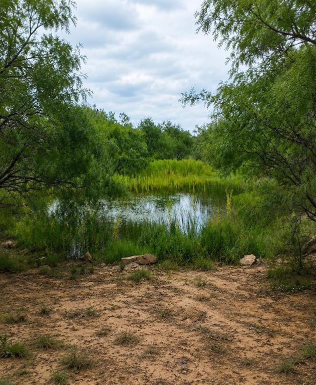 5181 CR 202, San Saba, TX 76877