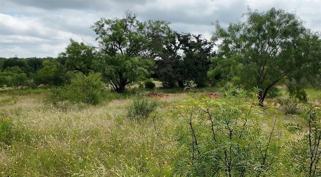 5181 CR 202, San Saba, TX 76877