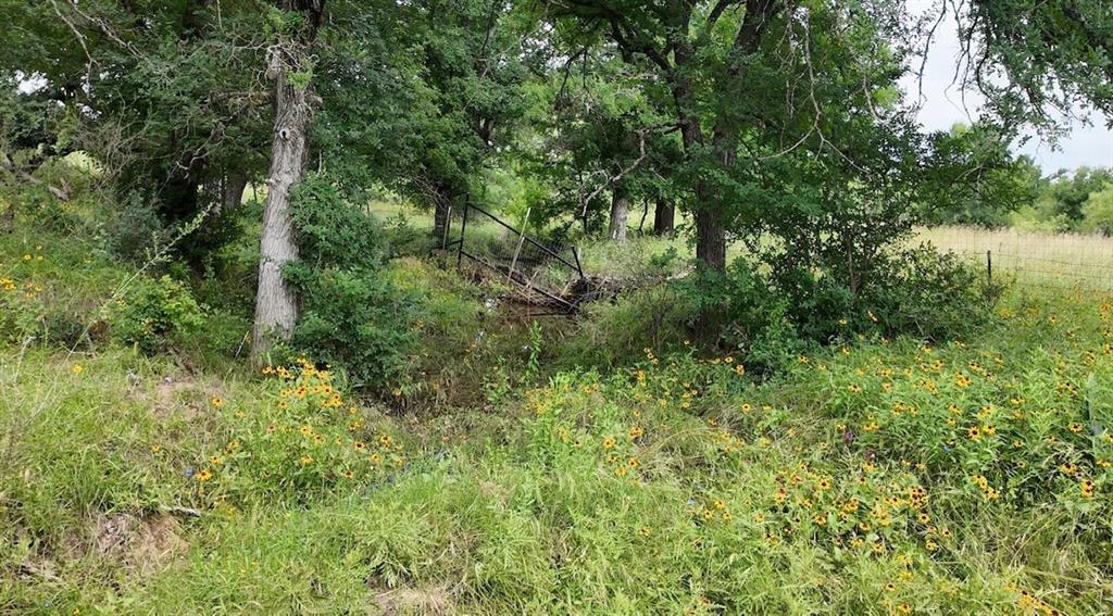 5181 CR 202, San Saba, TX 76877