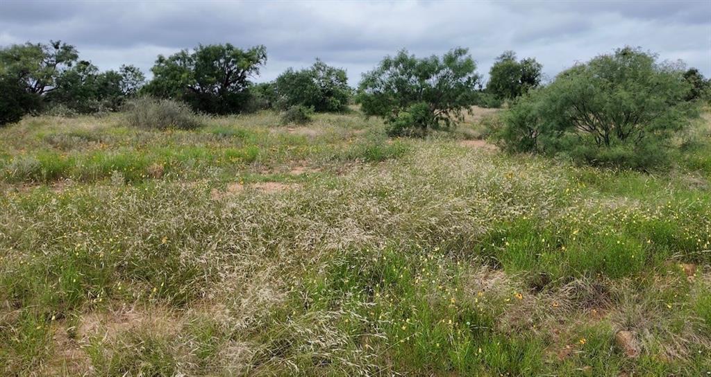 5181 CR 202, San Saba, TX 76877