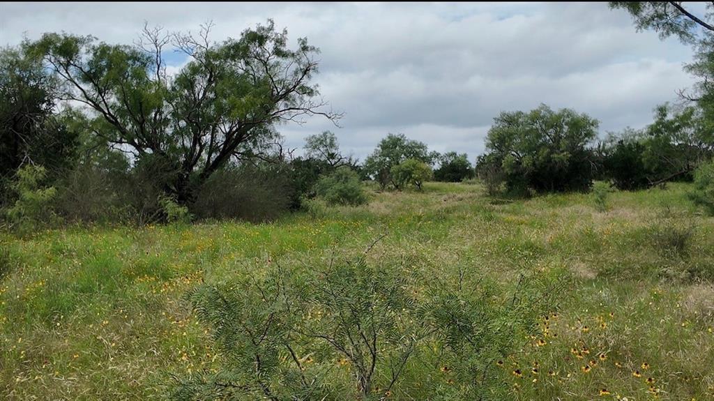5181 CR 202, San Saba, TX 76877