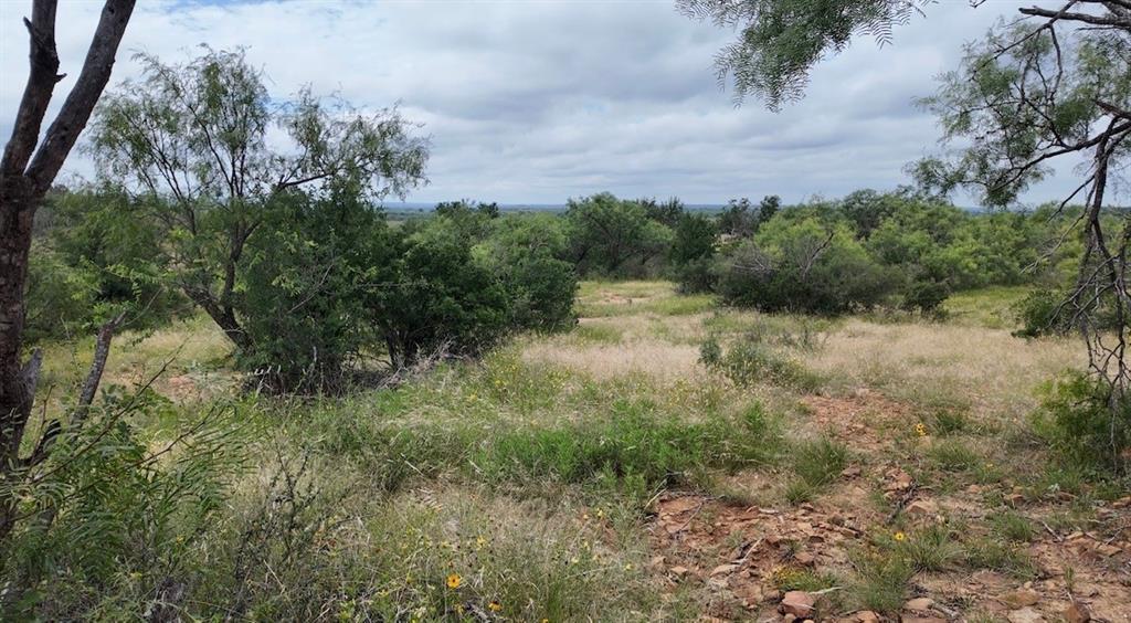 5181 CR 202, San Saba, TX 76877