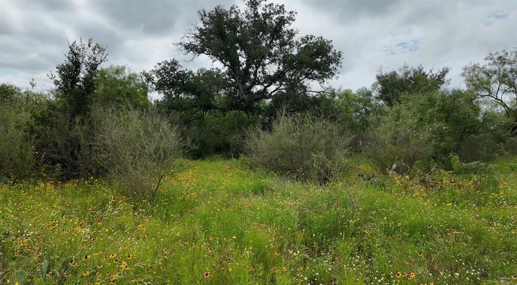 5181 CR 202, San Saba, TX 76877