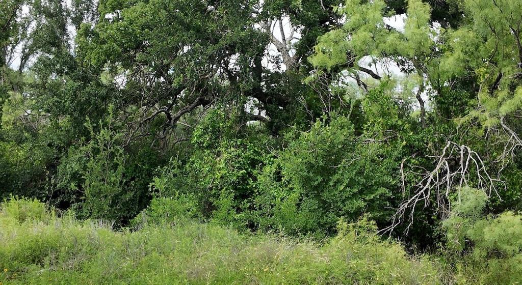 5181 CR 202, San Saba, TX 76877
