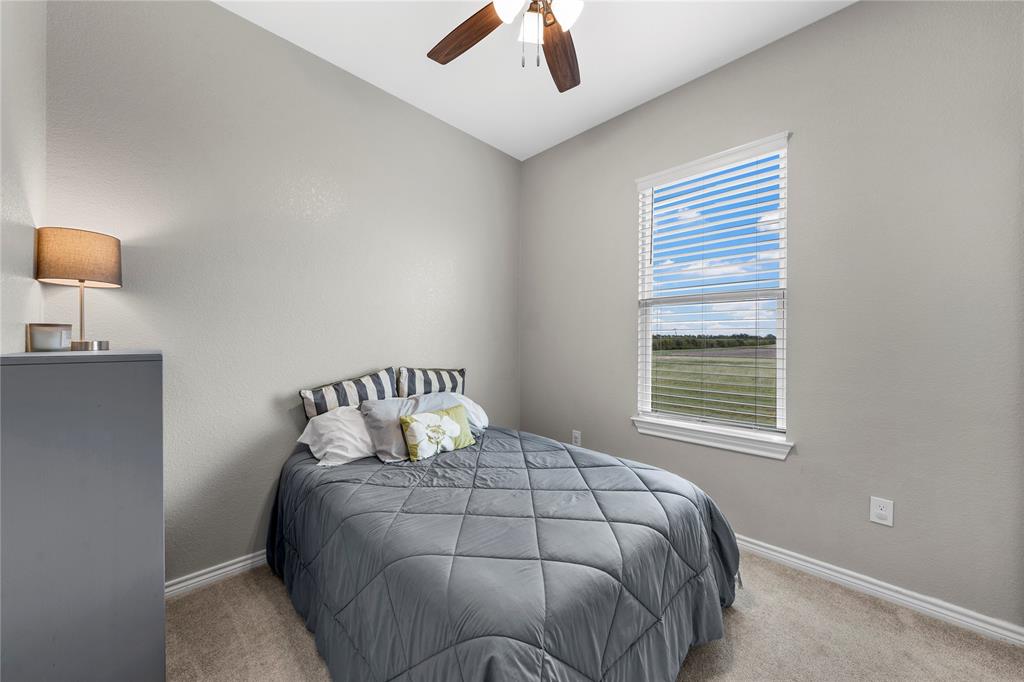 Neutral-toned walls, plush wall-to-wall carpeting, single-hung window with blinds, and a ceiling-mounted fan with light fixture