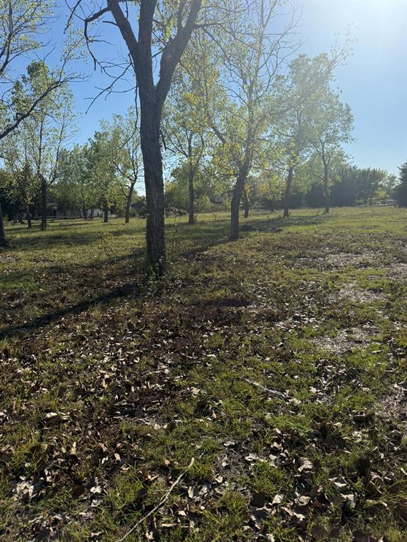 126 SUNRISE Court, Palmer, TX 75152