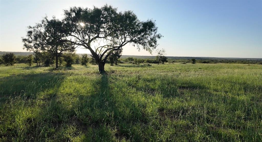 599 CR 241, Rochelle, TX 76872