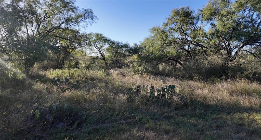 599 CR 241, Rochelle, TX 76872
