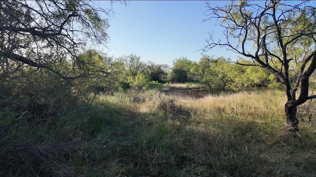 599 CR 241, Rochelle, TX 76872