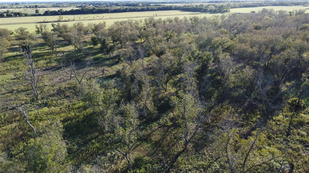 Lot 4 County Road 461, De Leon, TX 76444