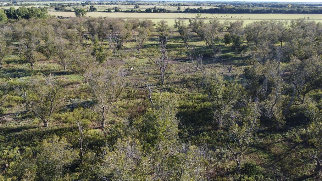 Lot 4 County Road 461, De Leon, TX 76444