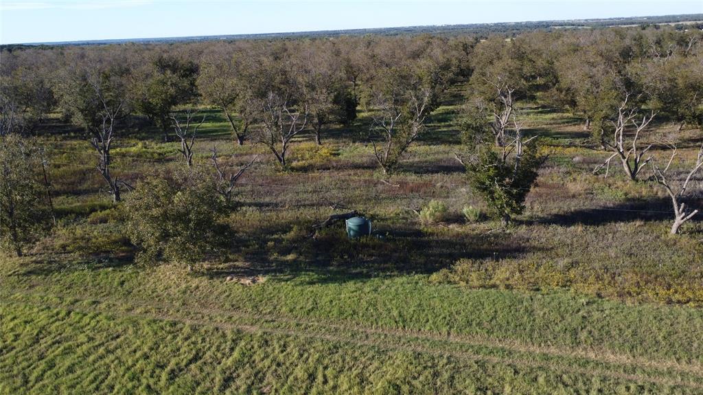 Lot 4 County Road 461, De Leon, TX 76444