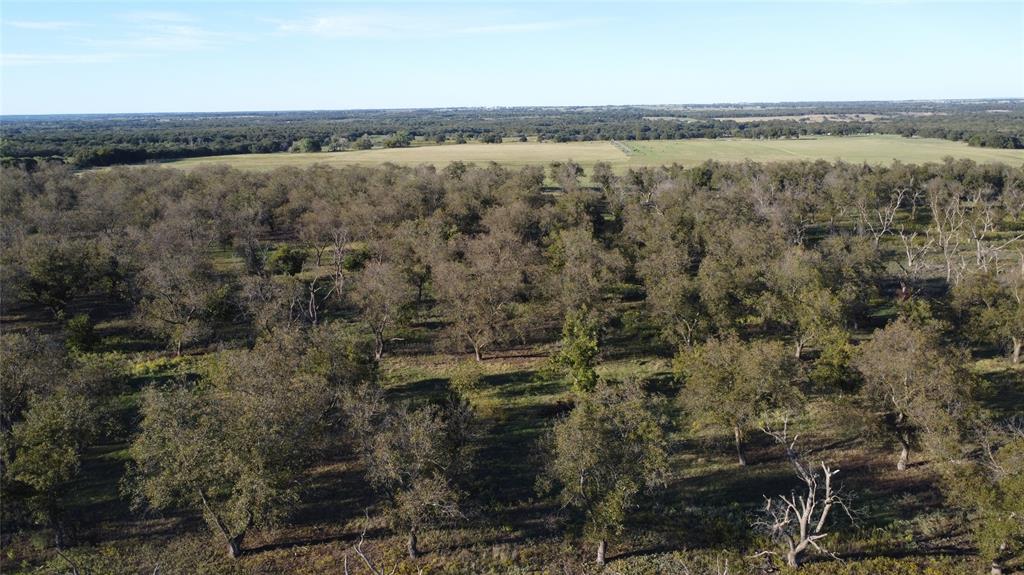 Lot 4 County Road 461, De Leon, TX 76444