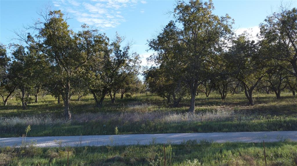 Lot 4 County Road 461, De Leon, TX 76444 Lot 4 County Road 461, De Leon, TX 76444