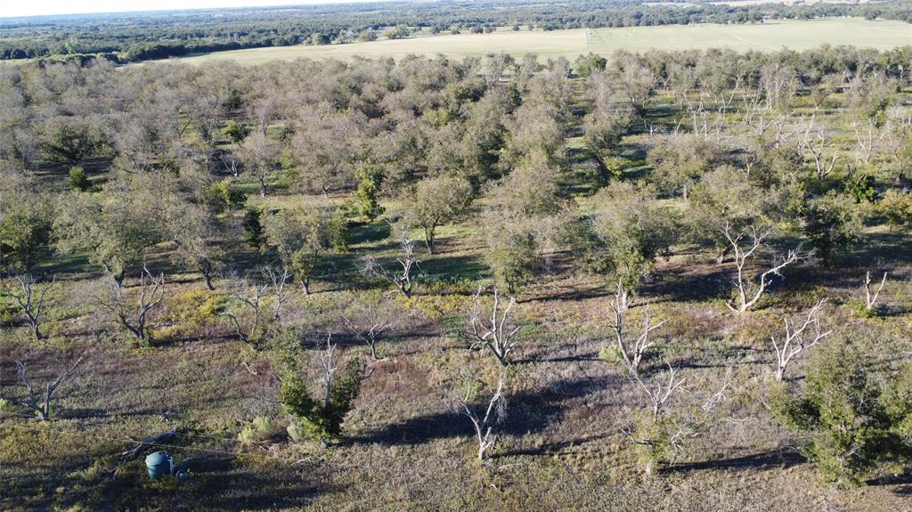 Lot 4 County Road 461, De Leon, TX 76444