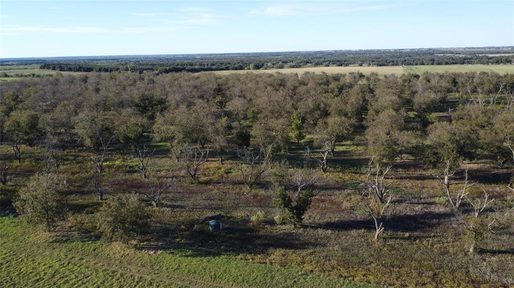 Lot 4 County Road 461, De Leon, TX 76444