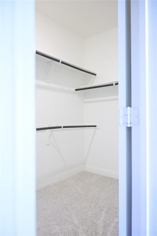 Walk-in closet featuring tiered shelving, integrated hanging rods, and carpeted flooring