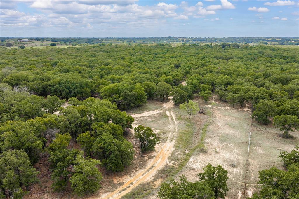 Expansive acreage featuring mature trees, natural terrain, and an unpaved path