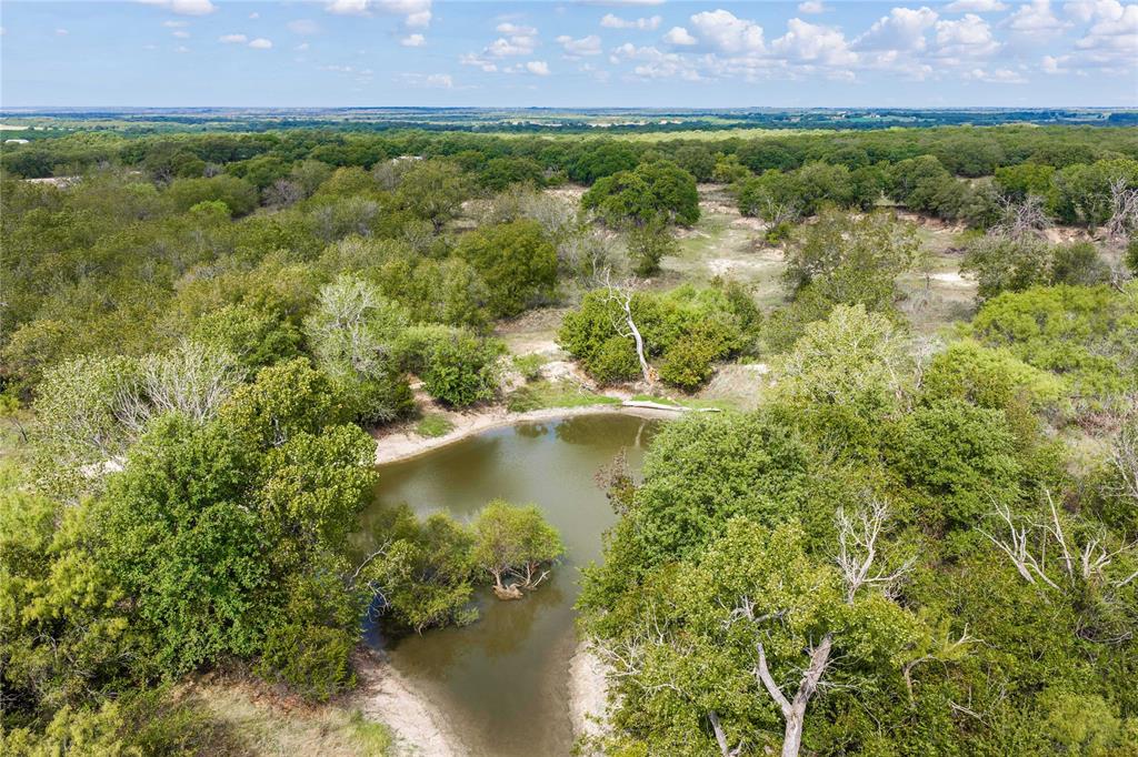 Expansive acreage featuring mature trees, natural vegetation, and a private pond