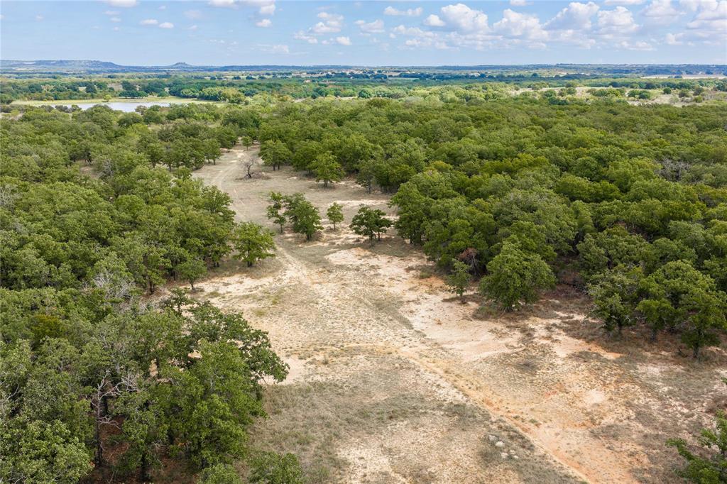 Expansive acreage featuring dense clusters of mature trees, natural vegetation, unpaved terrain, and distant horizon scenery