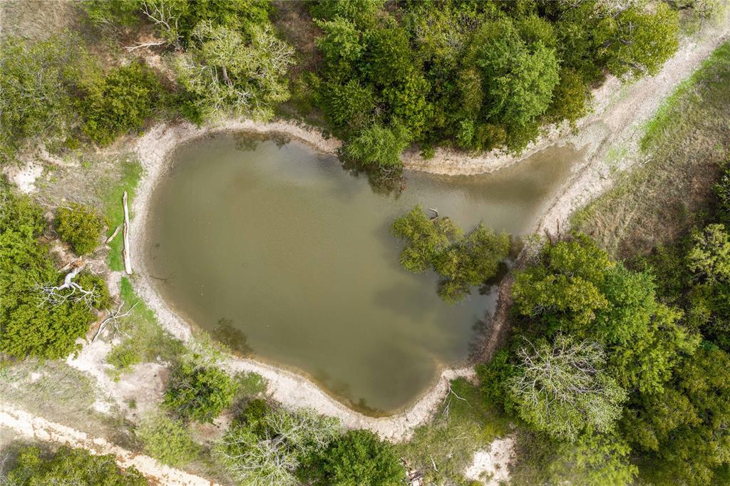 Aerial view of a natural pond surrounded by established trees and cleared dirt trails