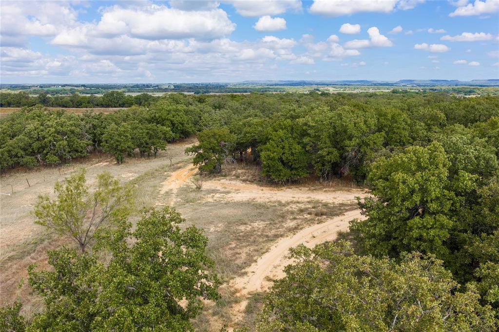 Expansive acreage featuring mature trees, natural terrain, and distant horizon scenery