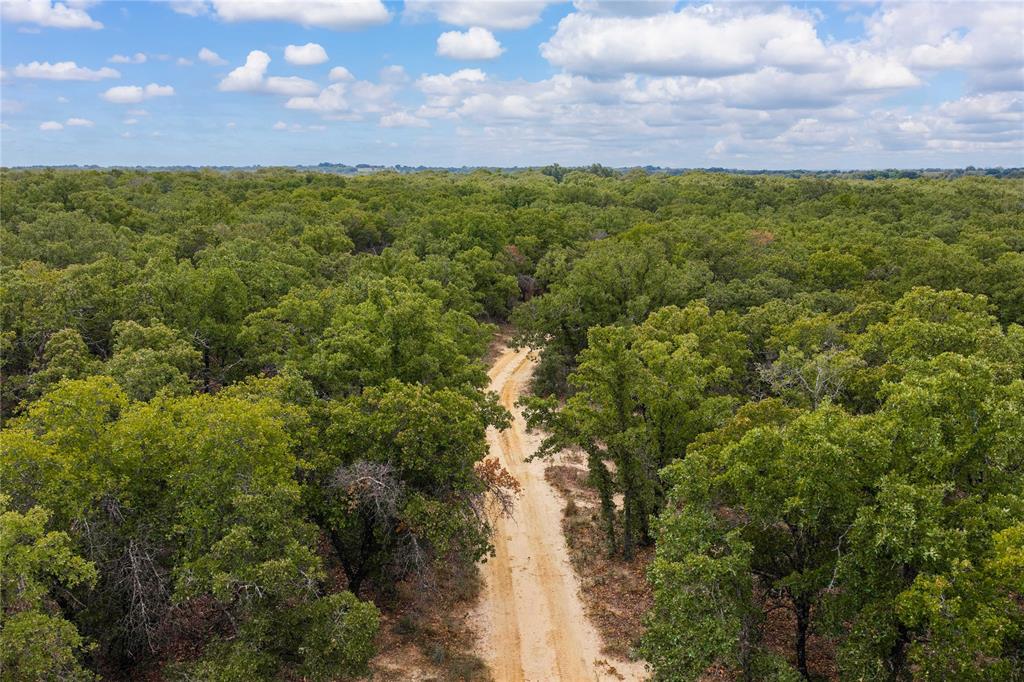 Expansive acreage featuring dense mature woodland and a natural sand-surface path
