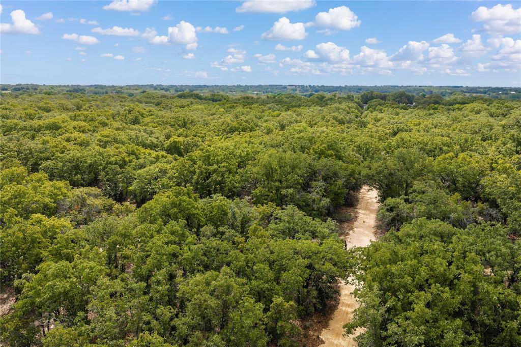 Expansive parcel featuring mature hardwood trees and a natural dirt path