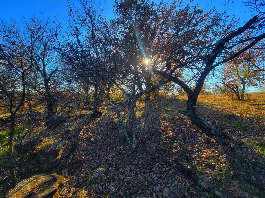 5 Barry Road, Henrietta, TX 76365