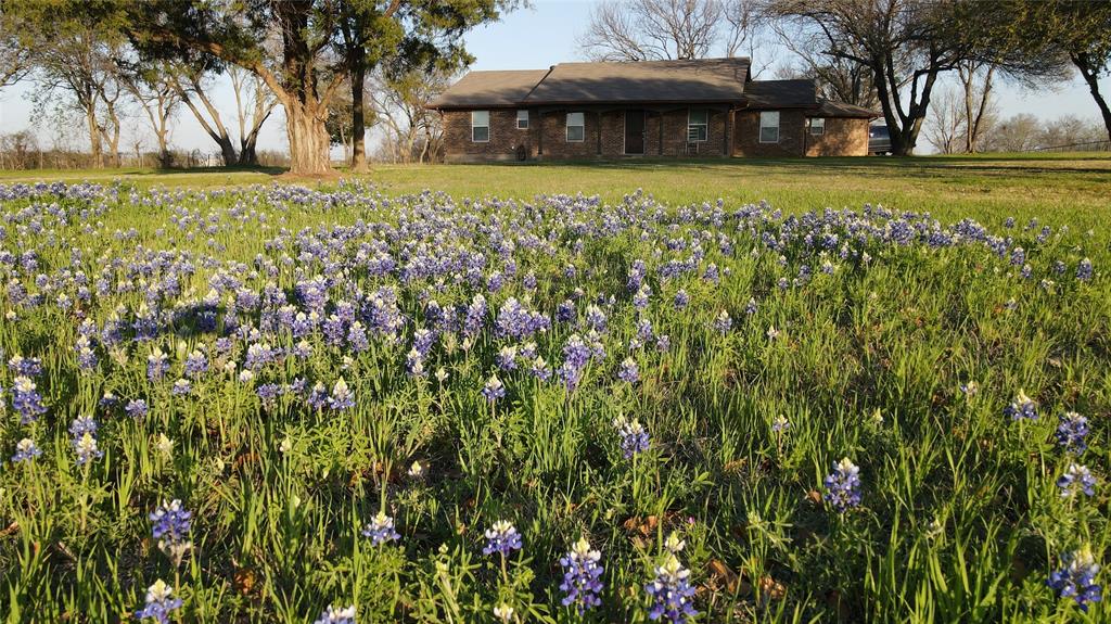 This property is on the Bluebonnet Trail!