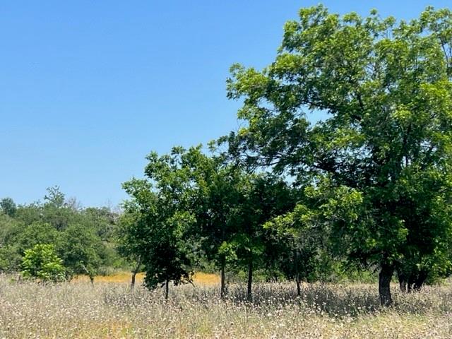 Lot 24 PR 6332, Hamilton, TX 76531