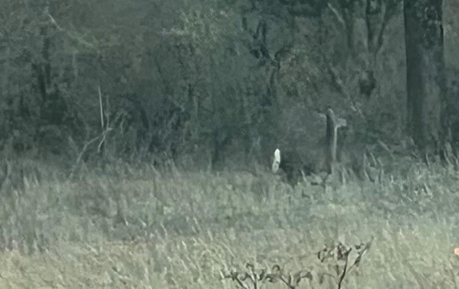 Lot 24 PR 6332, Hamilton, TX 76531