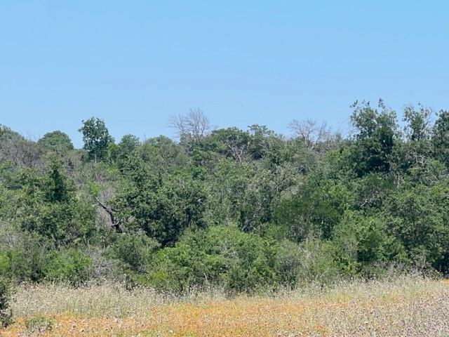 Lot 24 PR 6332, Hamilton, TX 76531