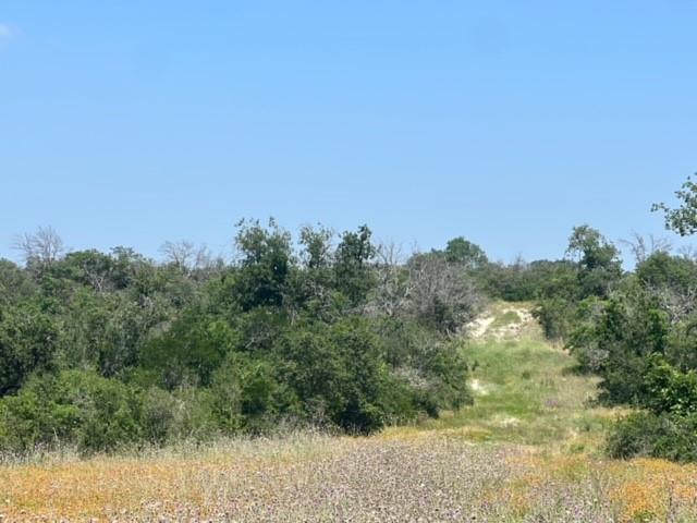 Lot 24 PR 6332, Hamilton, TX 76531
