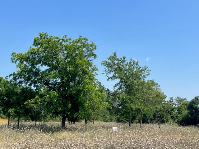 Lot 24 PR 6332, Hamilton, TX 76531