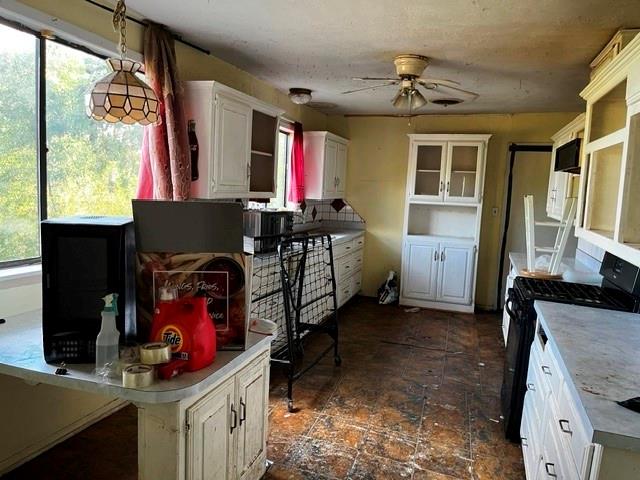 11284 County Road 897, Princeton, TX 75407