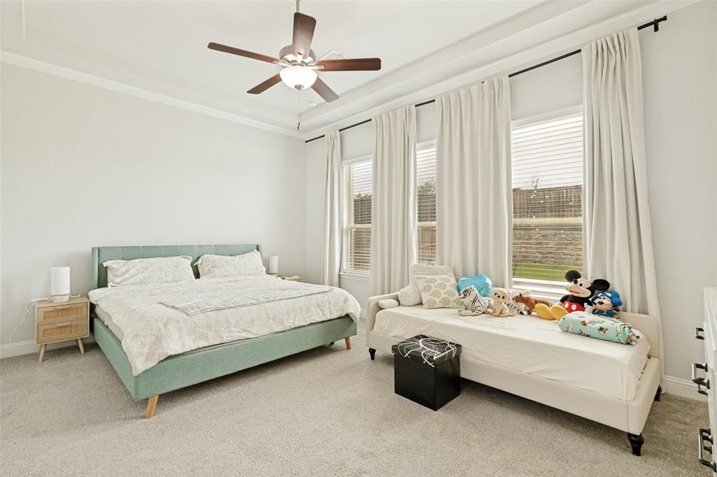 Tray ceiling, central ceiling fan, and large windows with integrated blinds